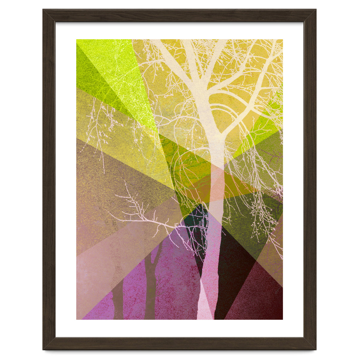 P22 A Trees And Triangles