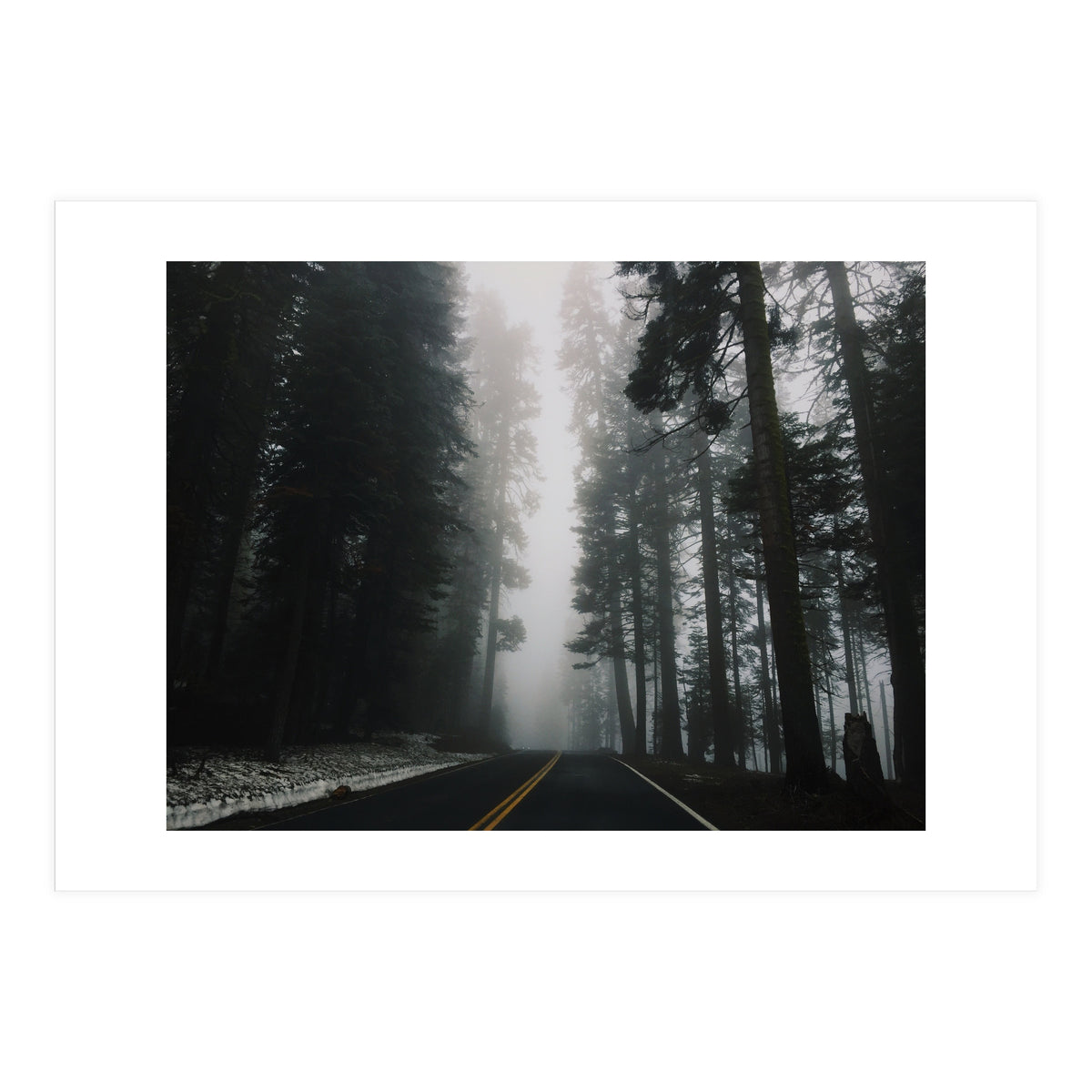 Foggy Yosemite (Print Only)
