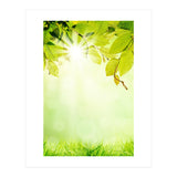 GREEN NATURE (Print Only) thumbnail