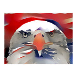 Bald Eagle (Print Only) thumbnail