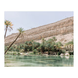 Tropical Oasis (Print Only) thumbnail
