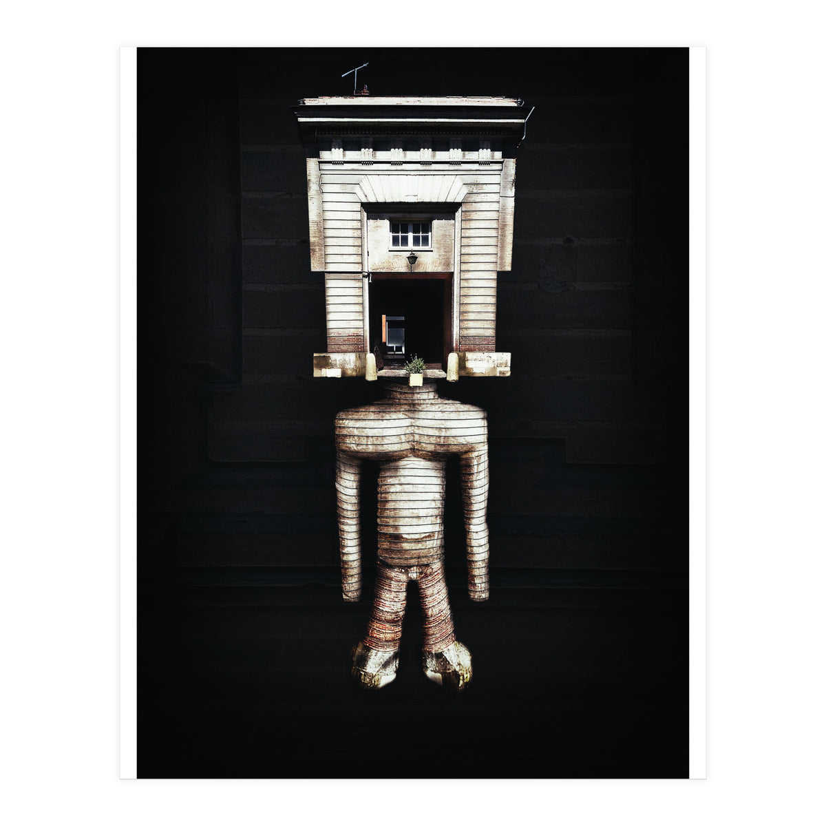 VooDooTooL - Jujia (Print Only)