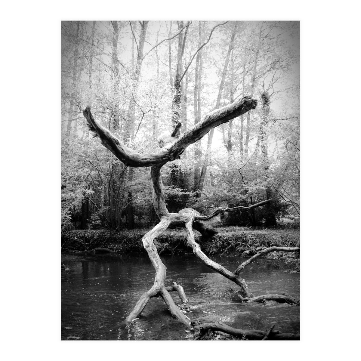 the negotiator (Print Only)