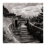 Crossing the Weir (Print Only) thumbnail
