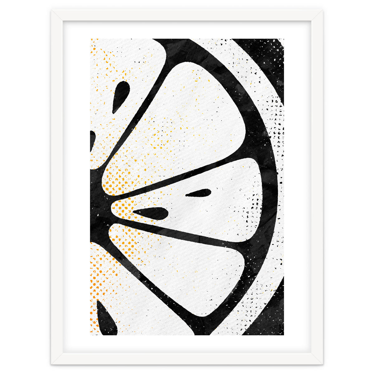 Citrus Collection No4