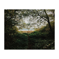 Tomales Bay (Print Only)