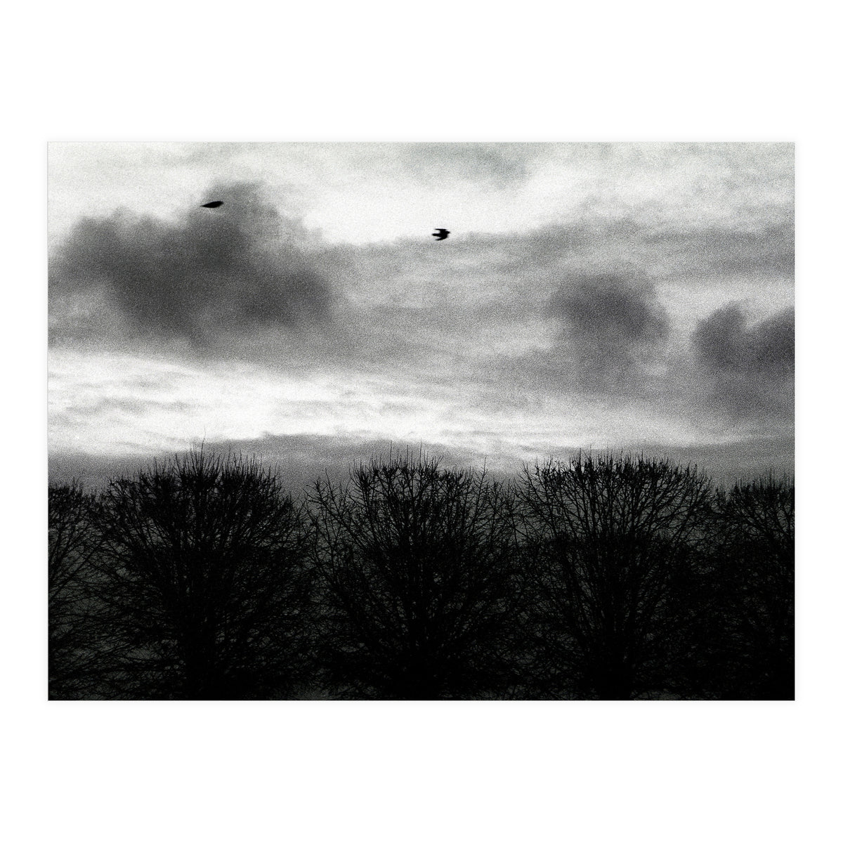 Winter mornig in Paris (Print Only)