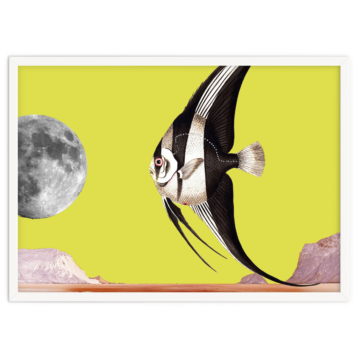 Plenty of fish in the sea yellow