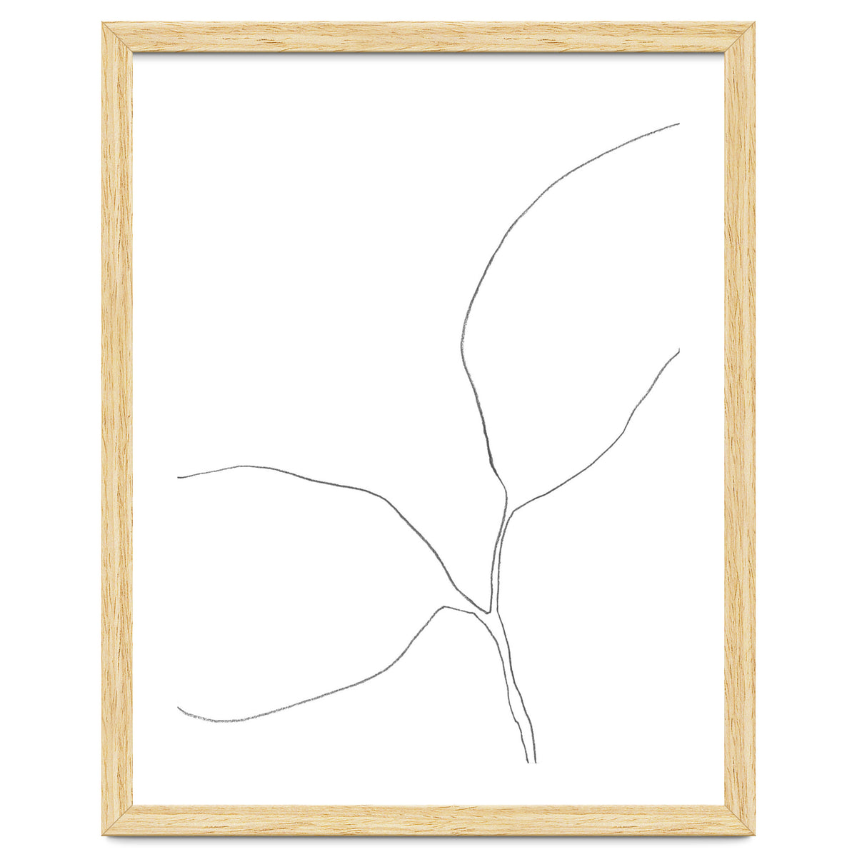 Seedling Leaning Left