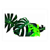 Fresh Leaves (Print Only) thumbnail