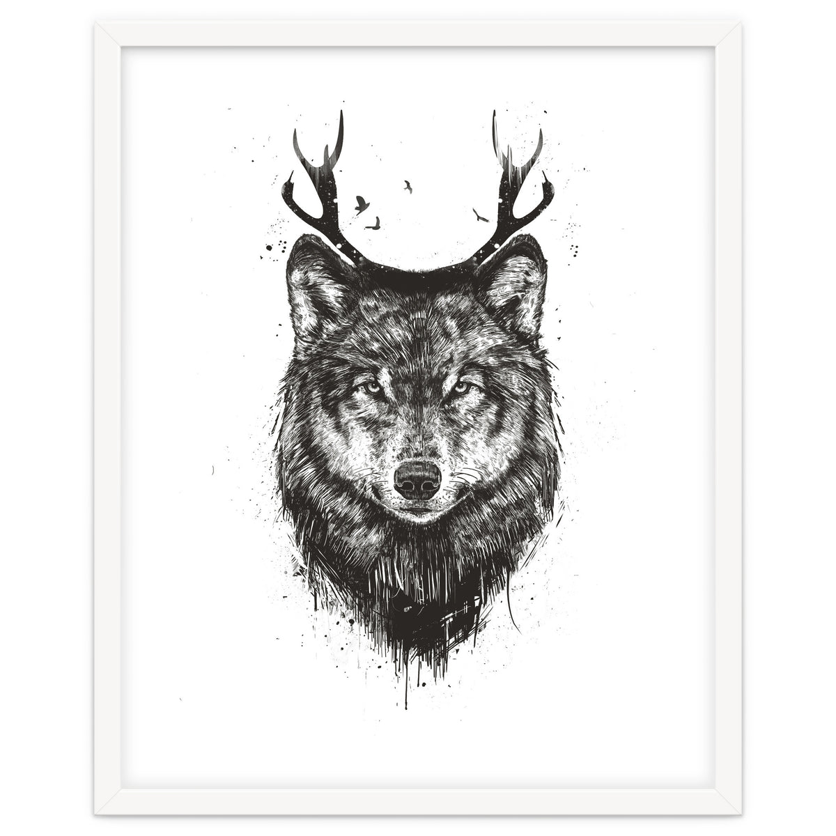 Deer Wolf Bw