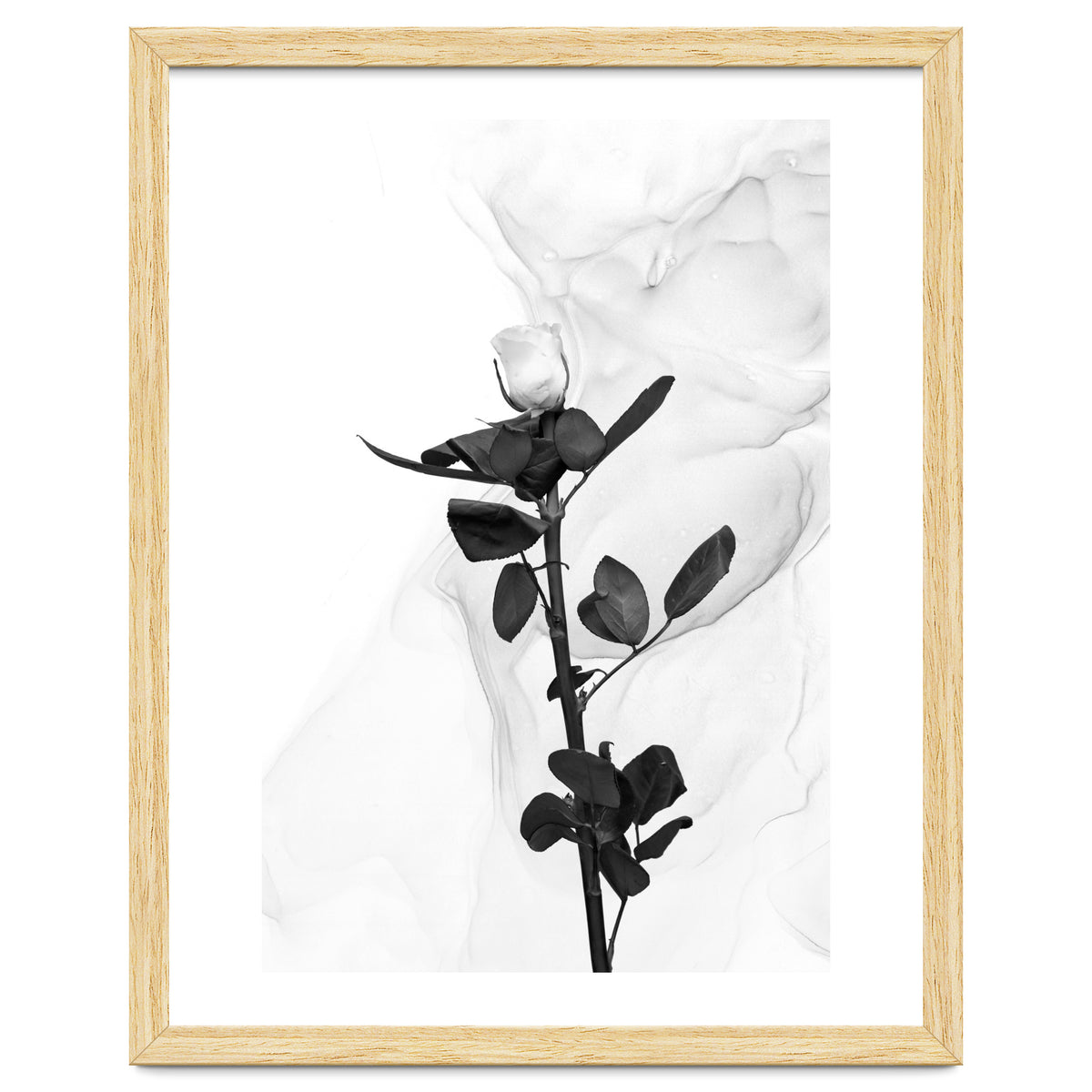 White Rose | Liquid Art