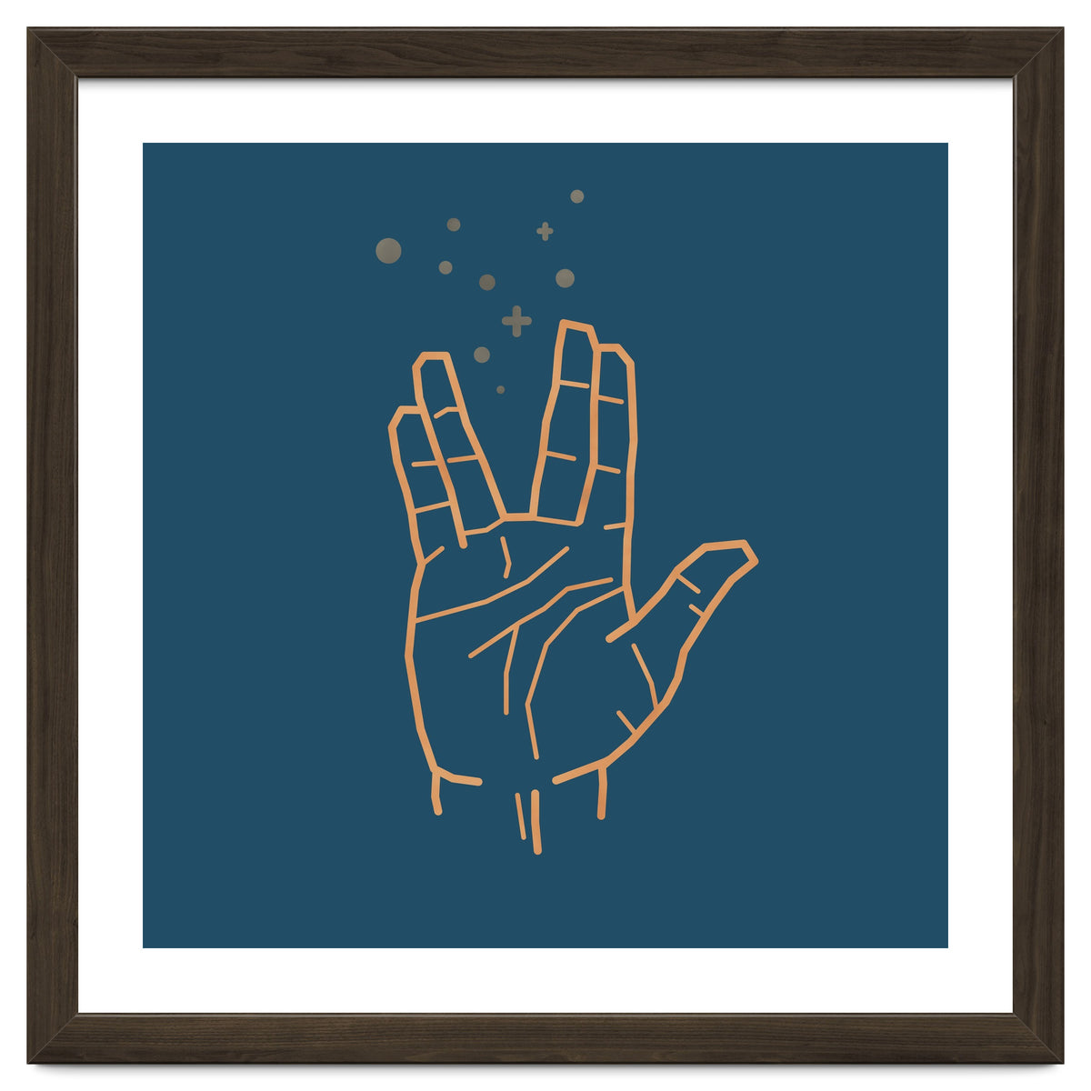 Vulcan Salute