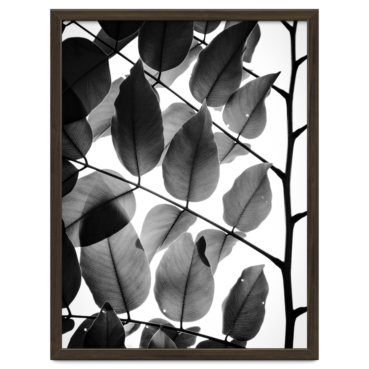 Branches and Leaves II