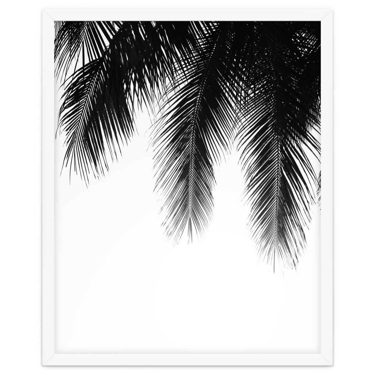 Palm leaves