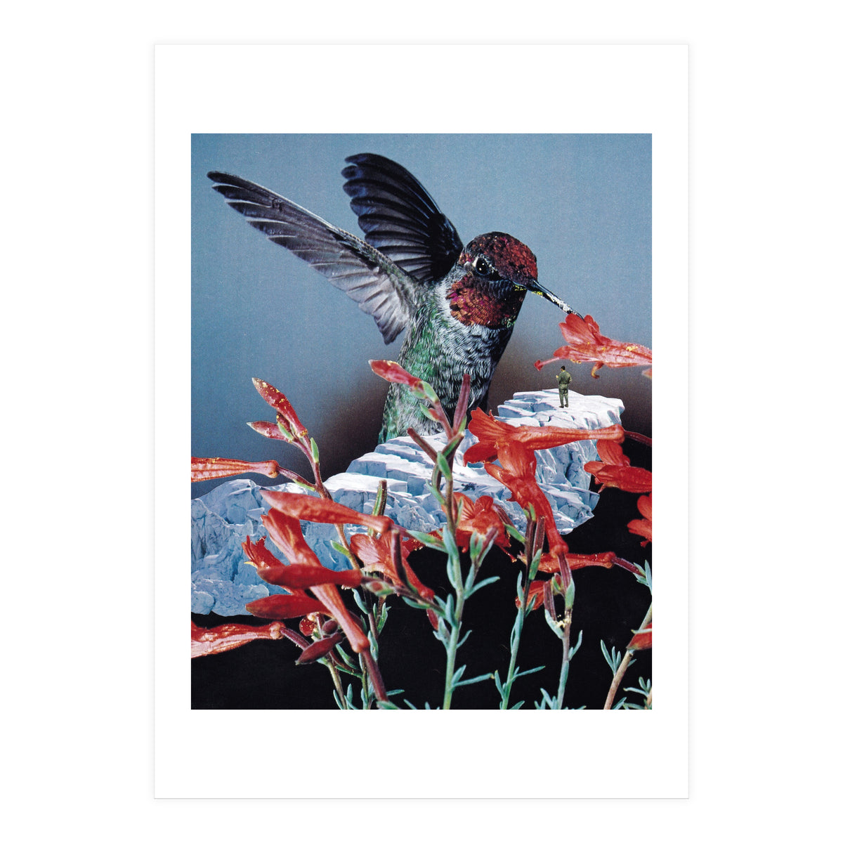 Bird Trainer (Print Only)