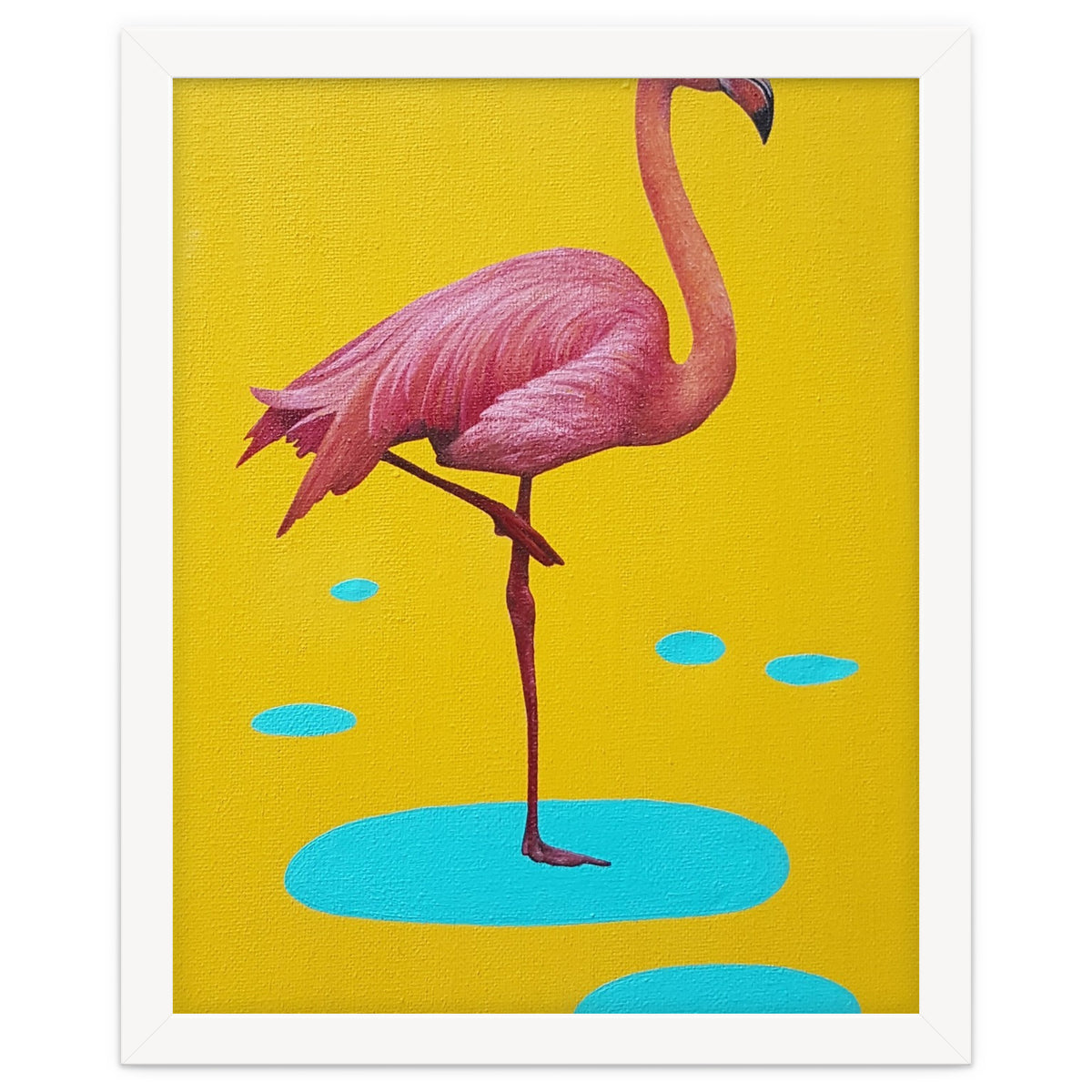 Flamingo