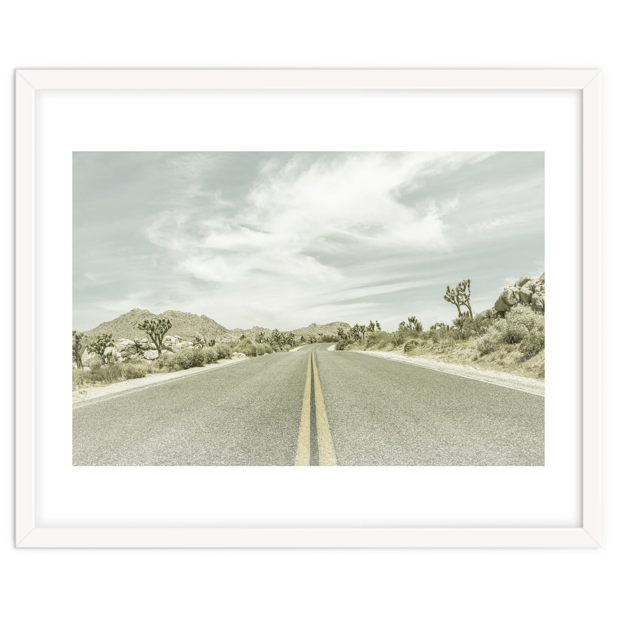 Joshua Trees, Park Boulevard | Vintage