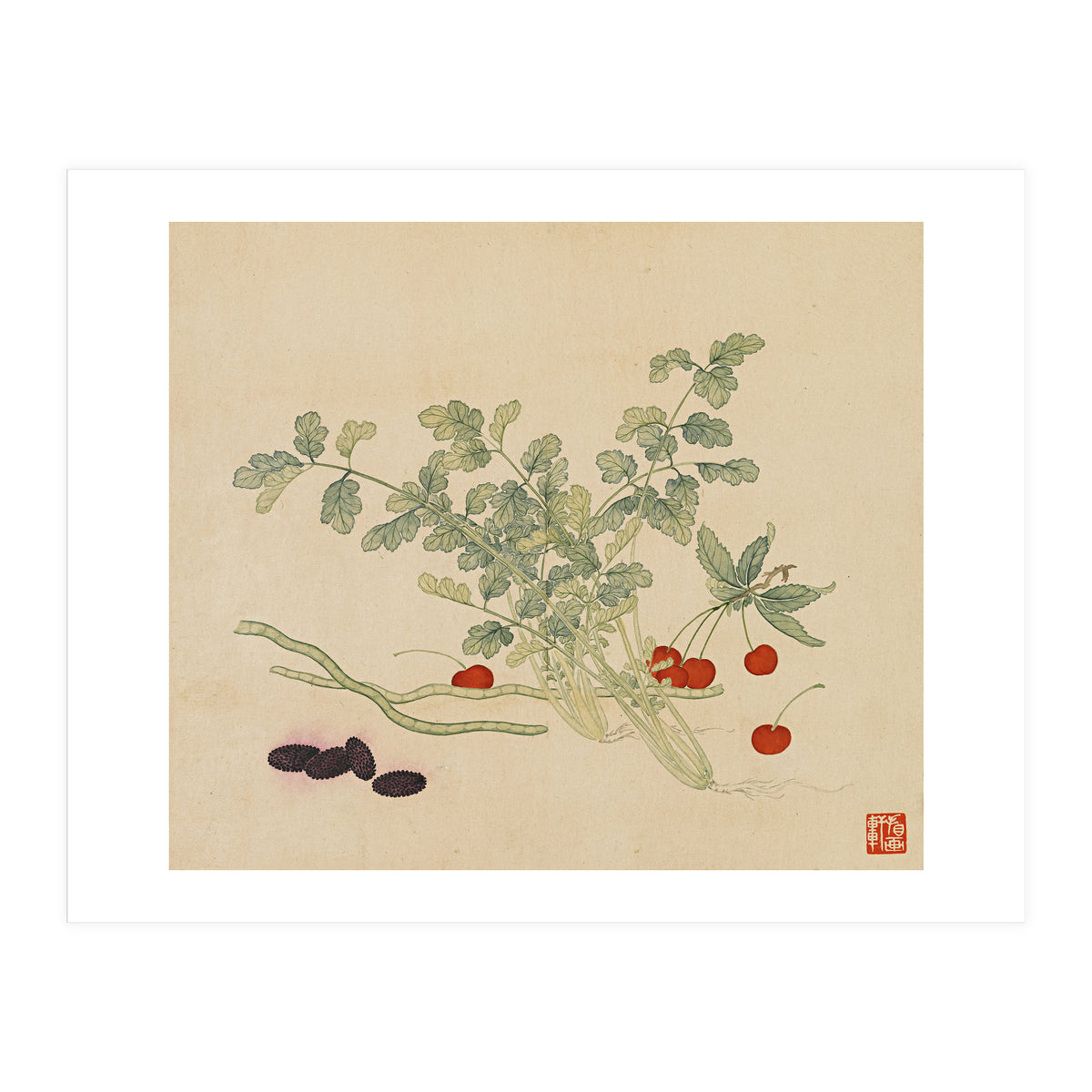 Wang Chengyu~flowers And Vegetables, Vegetables, Fruits, Beans, Red Beans, Cherries, Celery (Print Only)
