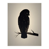 Owl Minimalist Picture (Print Only) thumbnail