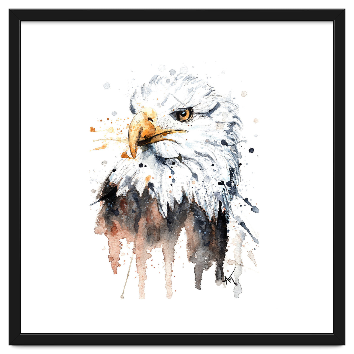 Bald Eagle - Wildlife Collection