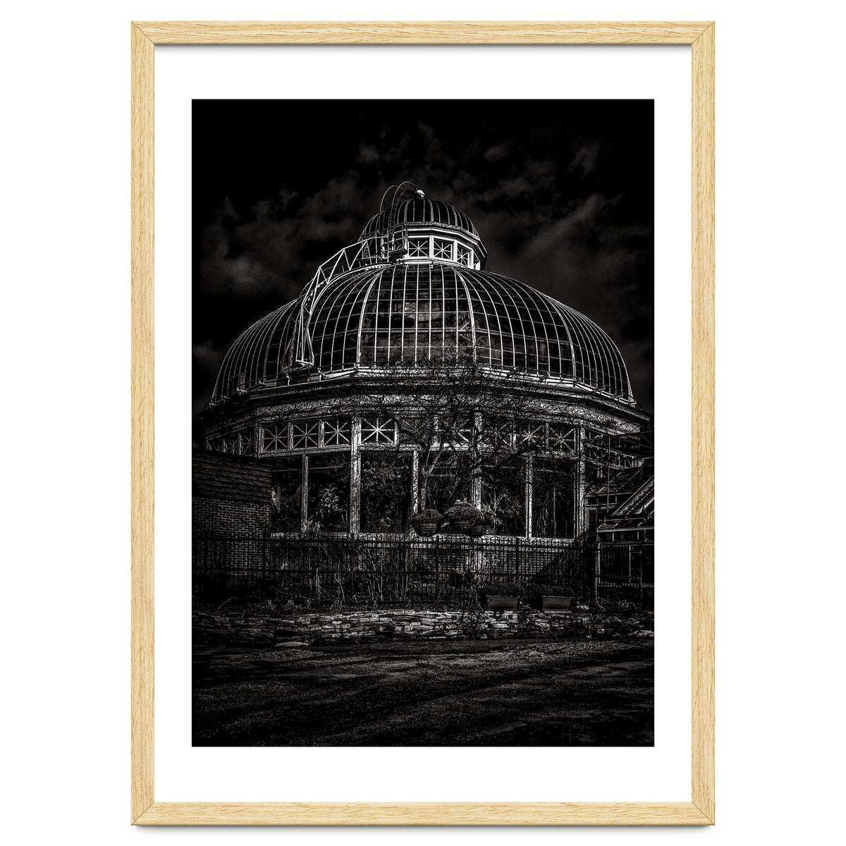 Allan Gardens Conservatory Palm House Toronto Canada No 2