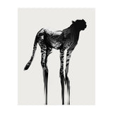 Cheetah  (Print Only) thumbnail