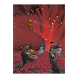 Red King Crab (Print Only) thumbnail
