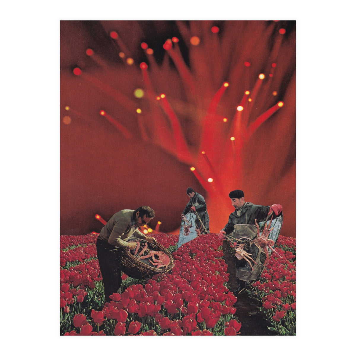 Red King Crab (Print Only)