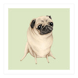 Sweet Fawn Pug (Print Only) thumbnail