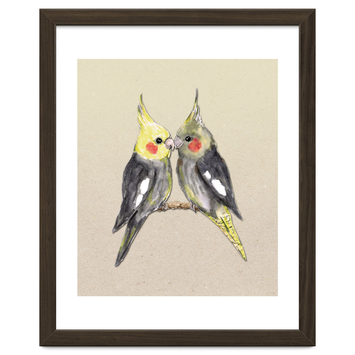 Two cute cockatiels
