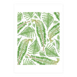 Ferna (Print Only) thumbnail