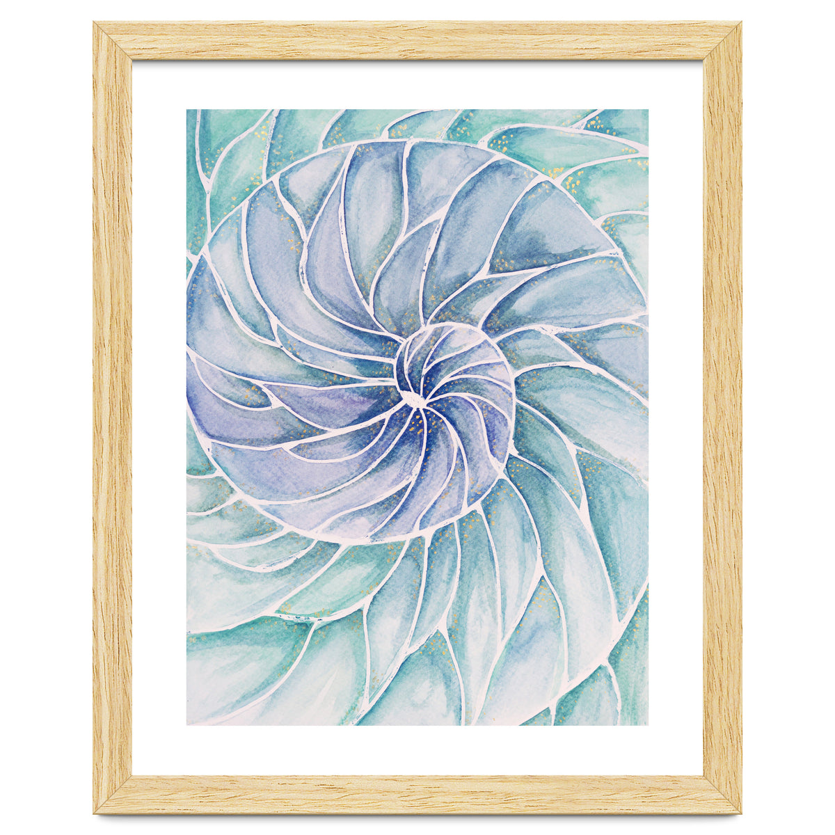 The inside of a shell