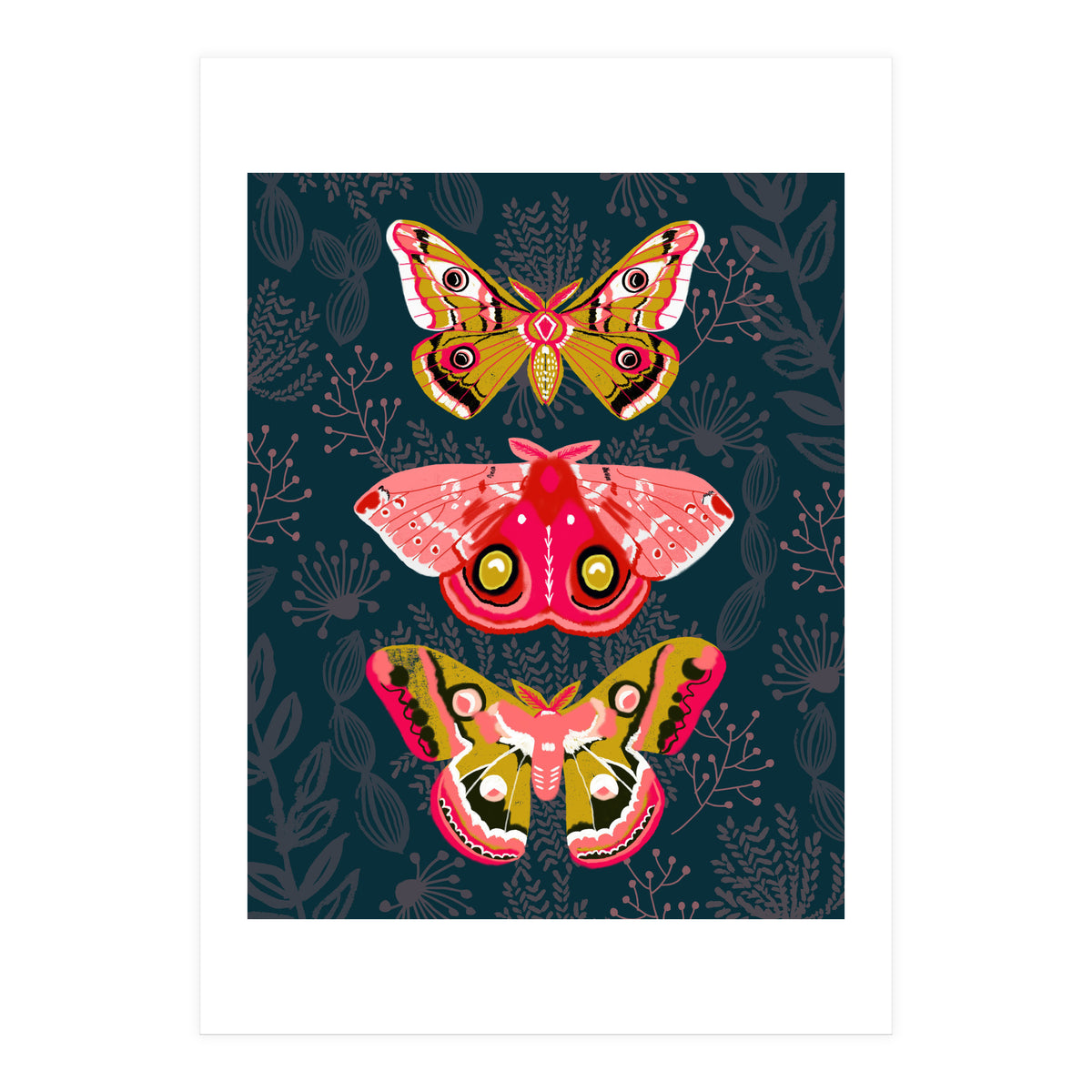 Lepidoptery Study No. 4 (Print Only)