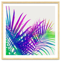 Colorful Palm