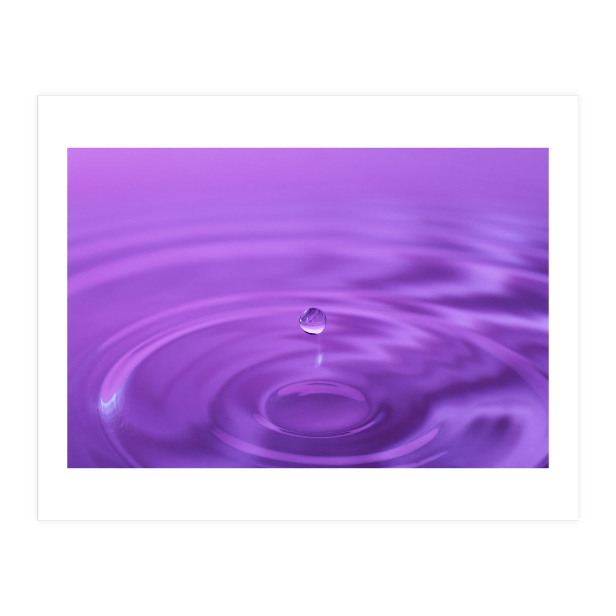 Nature (Print Only)
