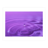 Nature (Print Only) thumbnail