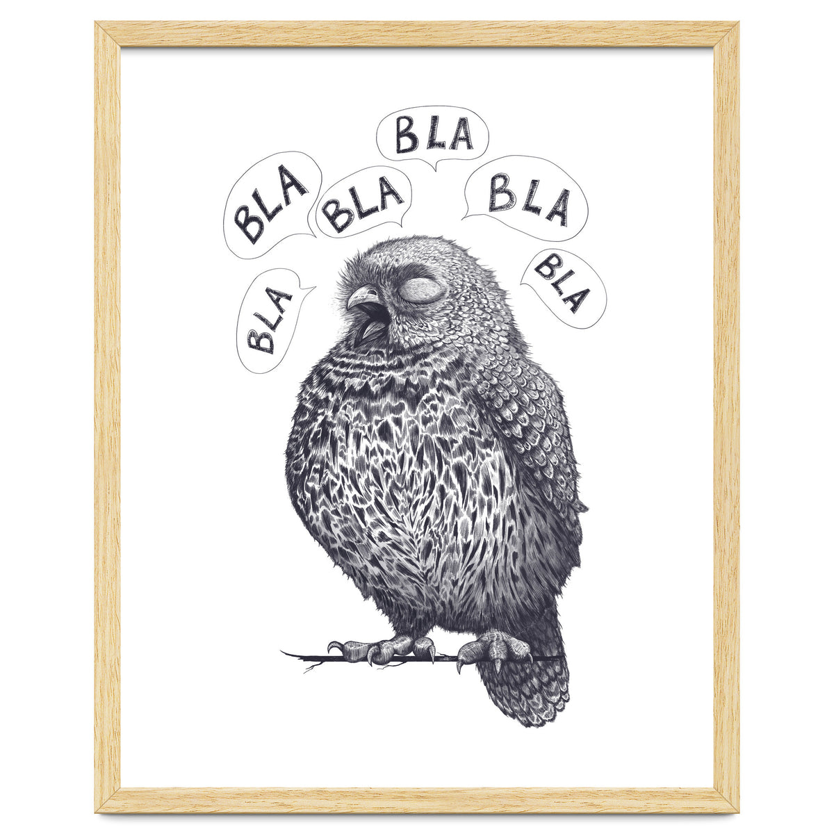 Owl Bla Bla Bla