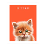 Kitten (Print Only) thumbnail