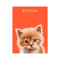 Kitten (Print Only)