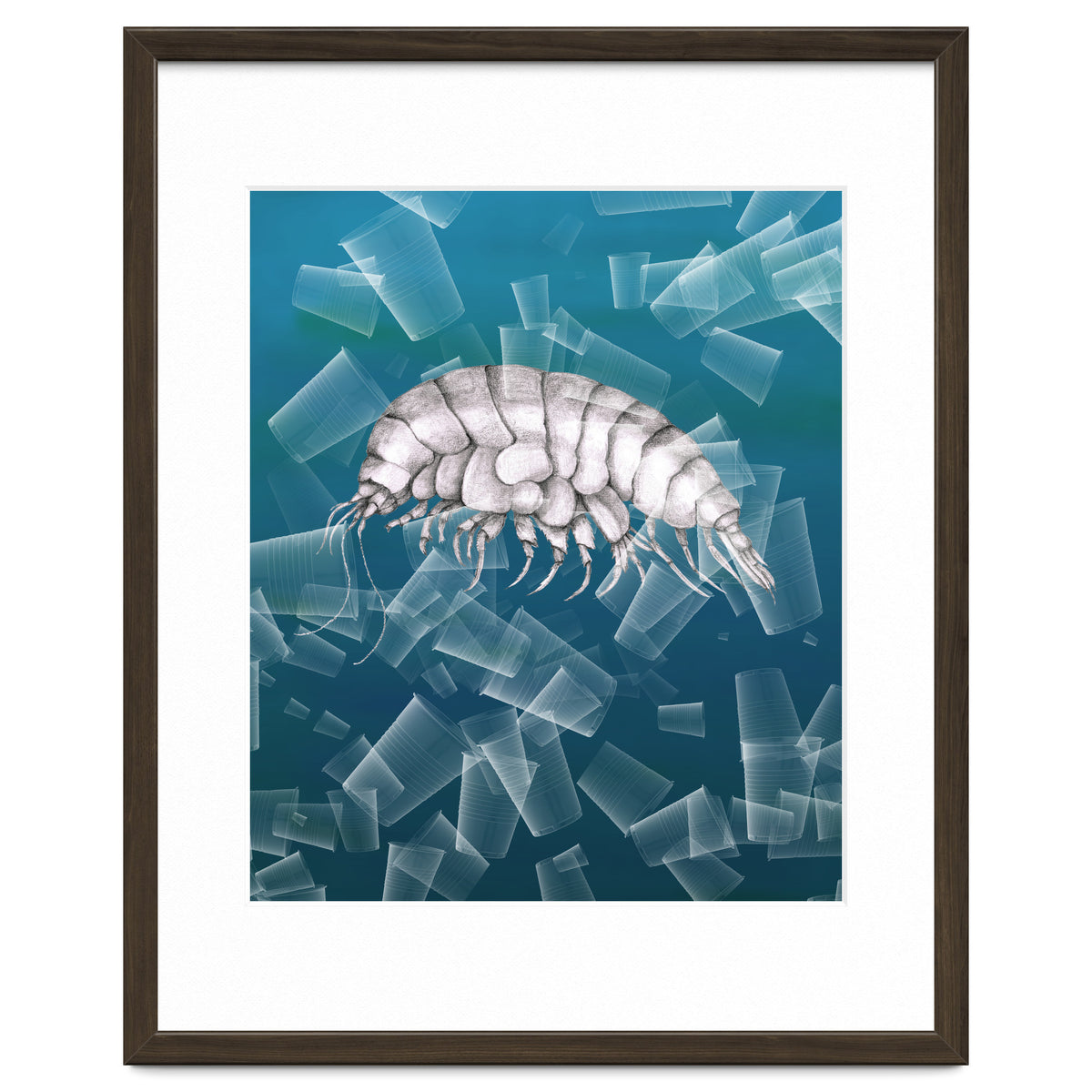 Eurythenes Plasticus