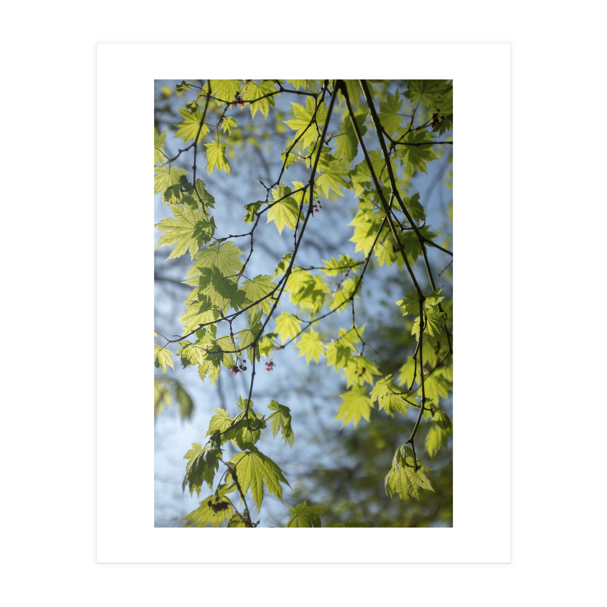 Wellbeing (Print Only)