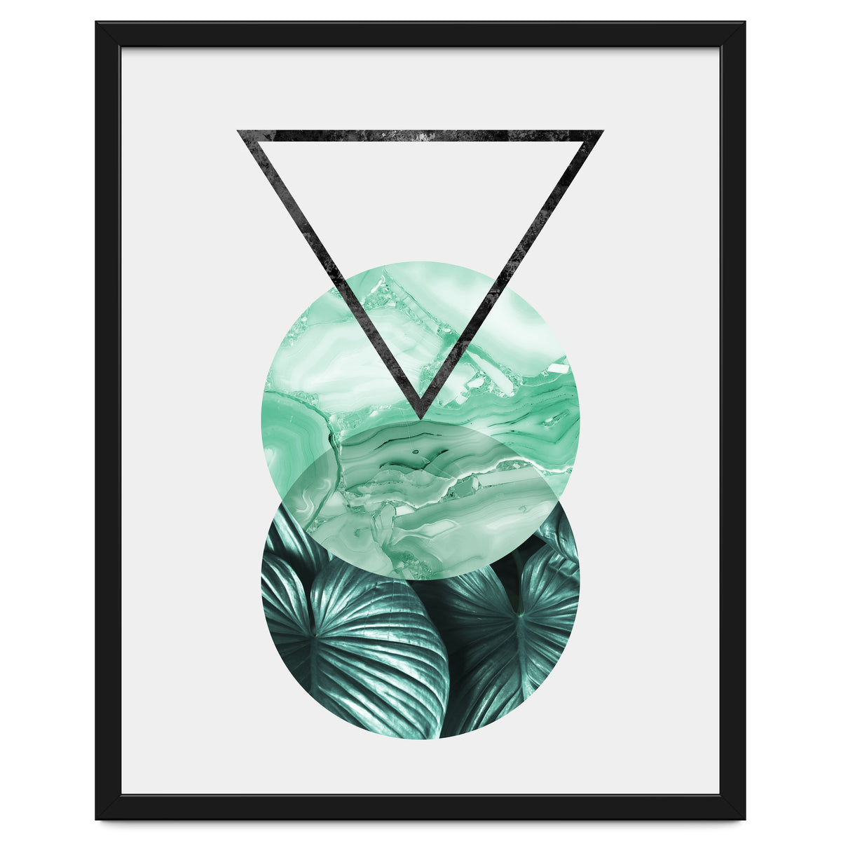 Botanical and geometric II