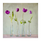 Tulips (Print Only) thumbnail