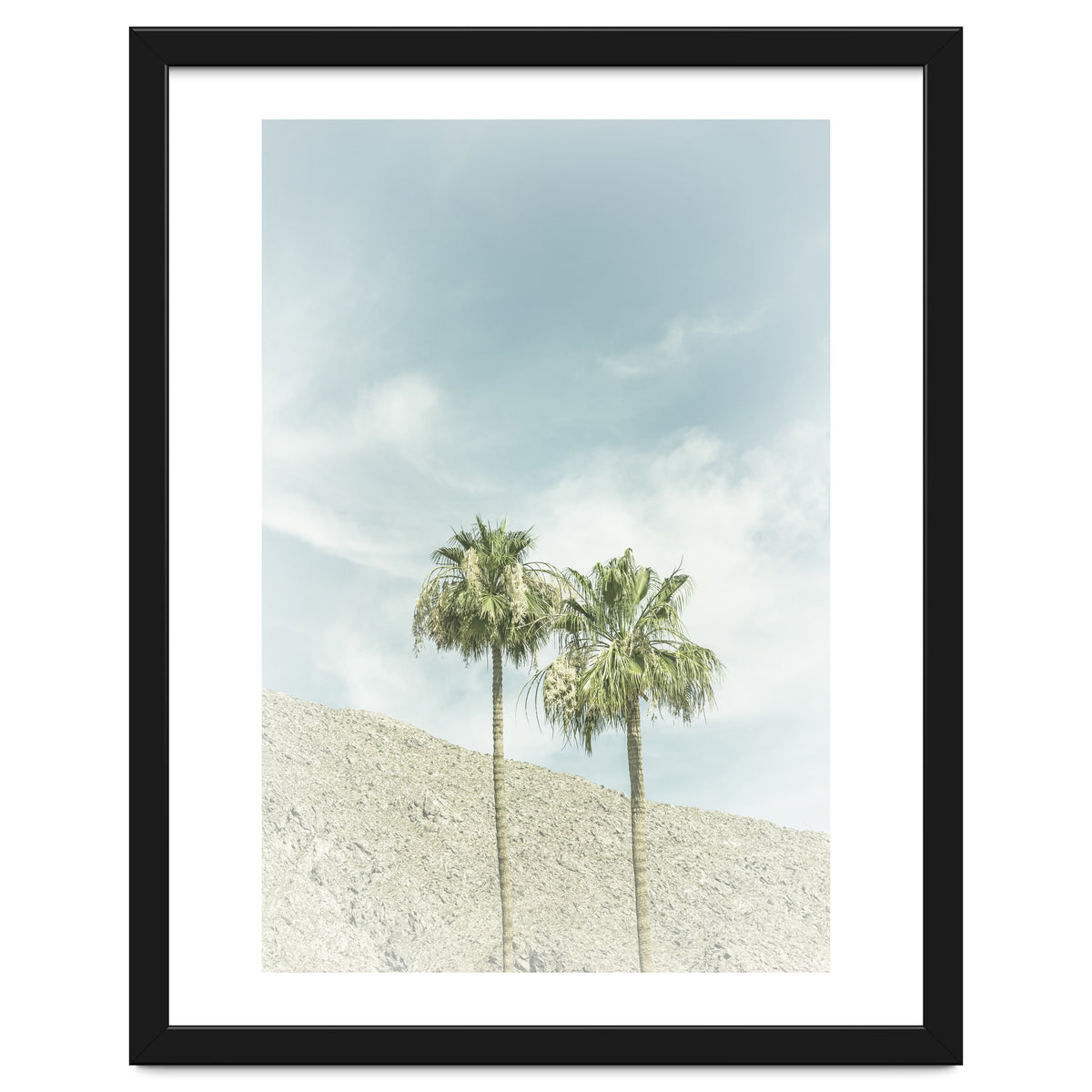 Palm Trees in the desert | Vintage