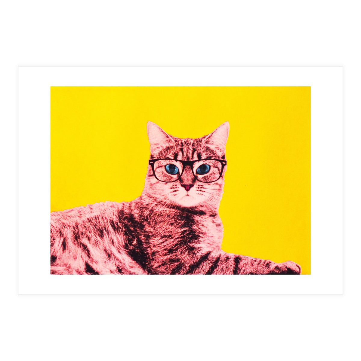 Life In Technicolor (Print Only)