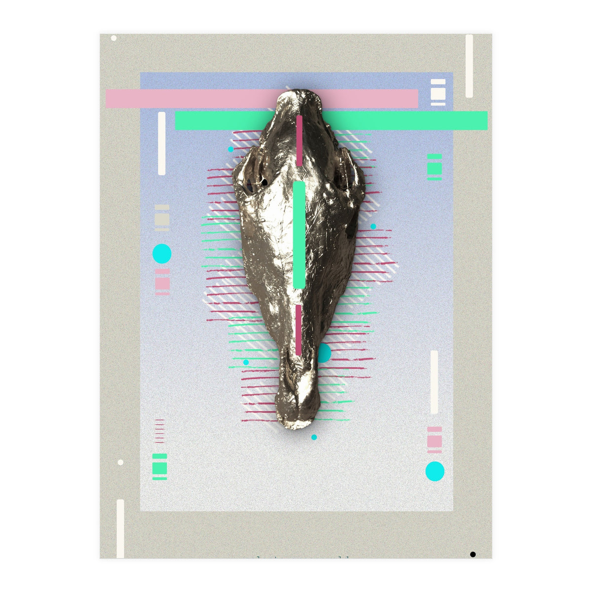 Equus quagga (Print Only)