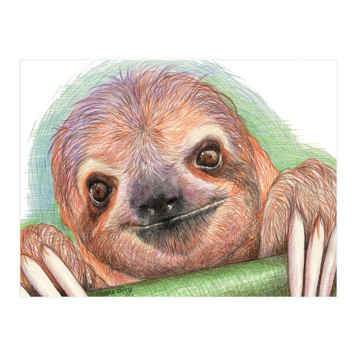 Smiling Sloth (Print Only)