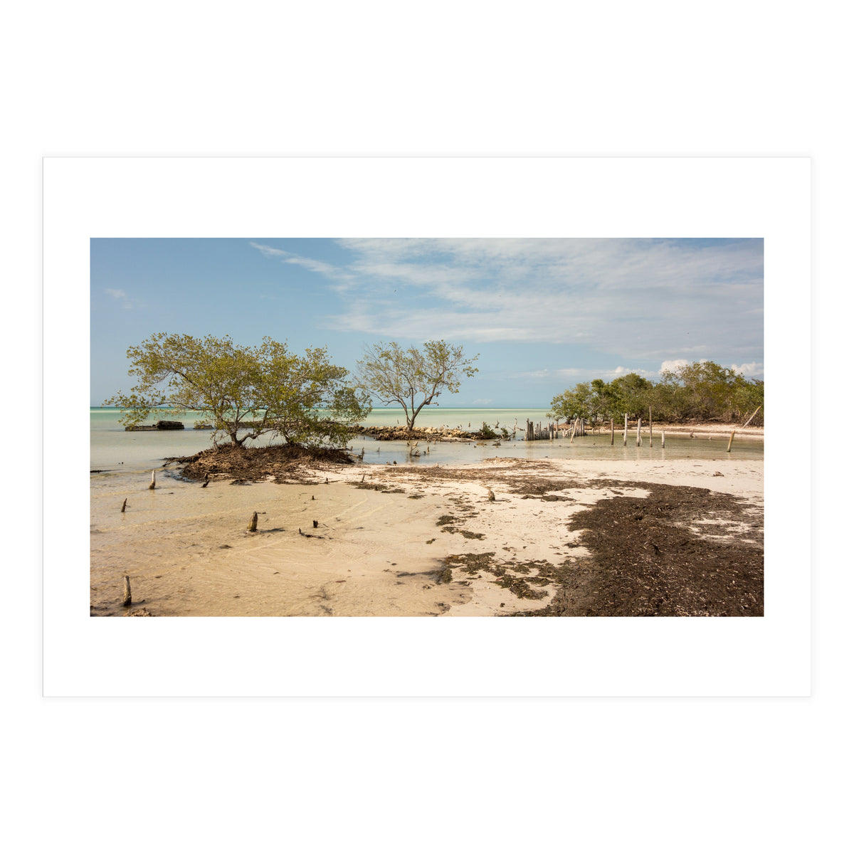 Yucatan beach (Print Only)