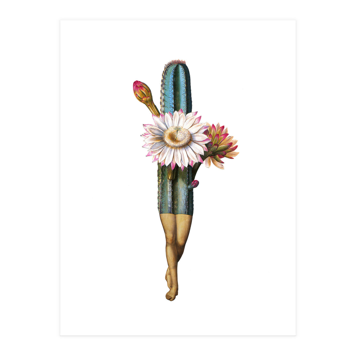 Night Bloomer (Print Only)